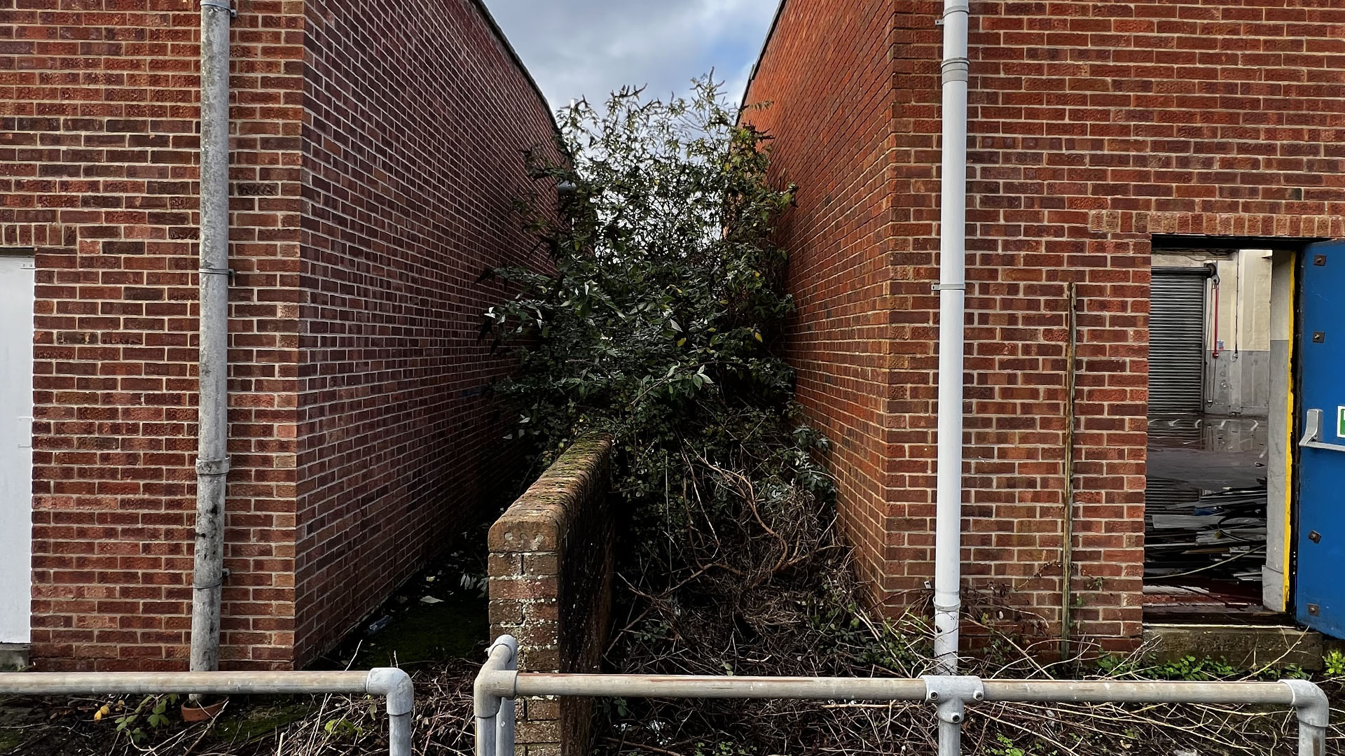 Who Should You Contact First — The Council, a Surveyor, or Your Neighbour Leicester?